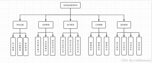 SpringBoot宠物医院系统 设计与实现全解析